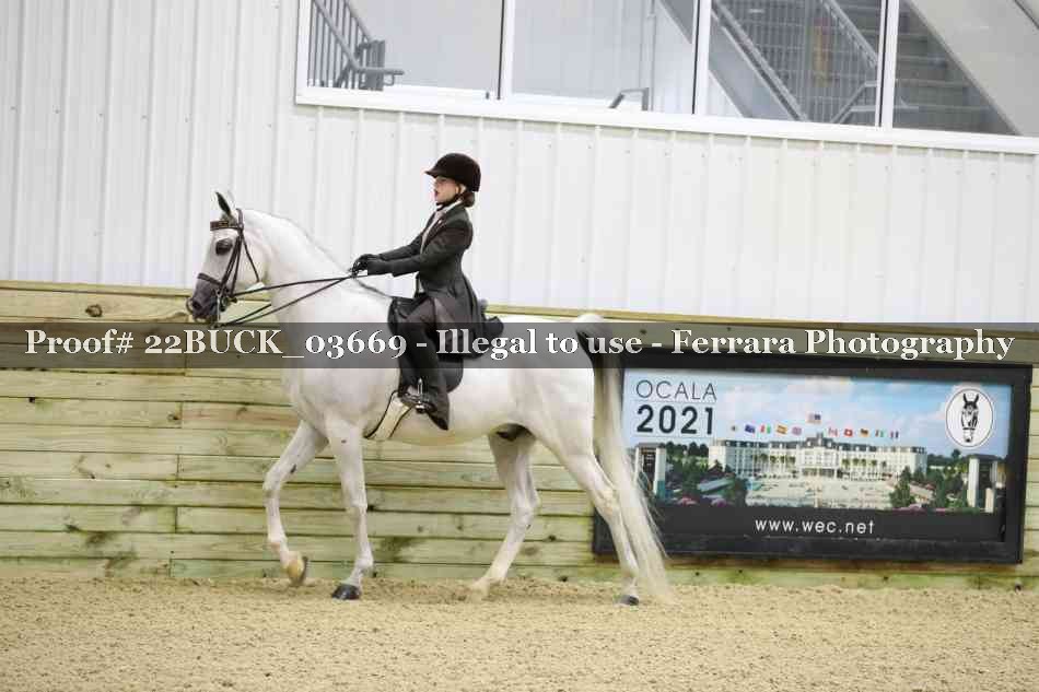 Proof 22BUCK_03669