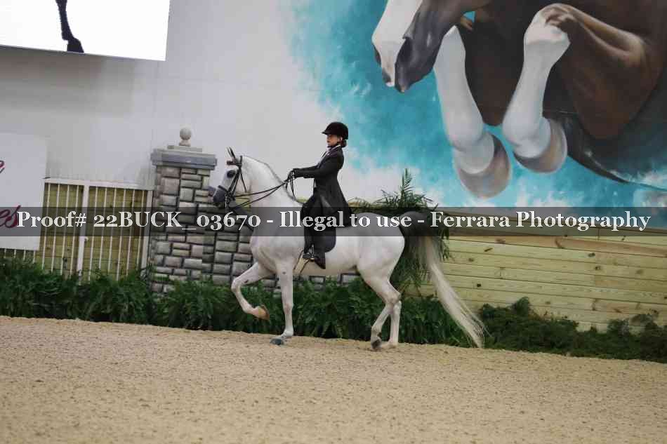 Proof 22BUCK_03670