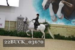 22BUCK_03670 proof