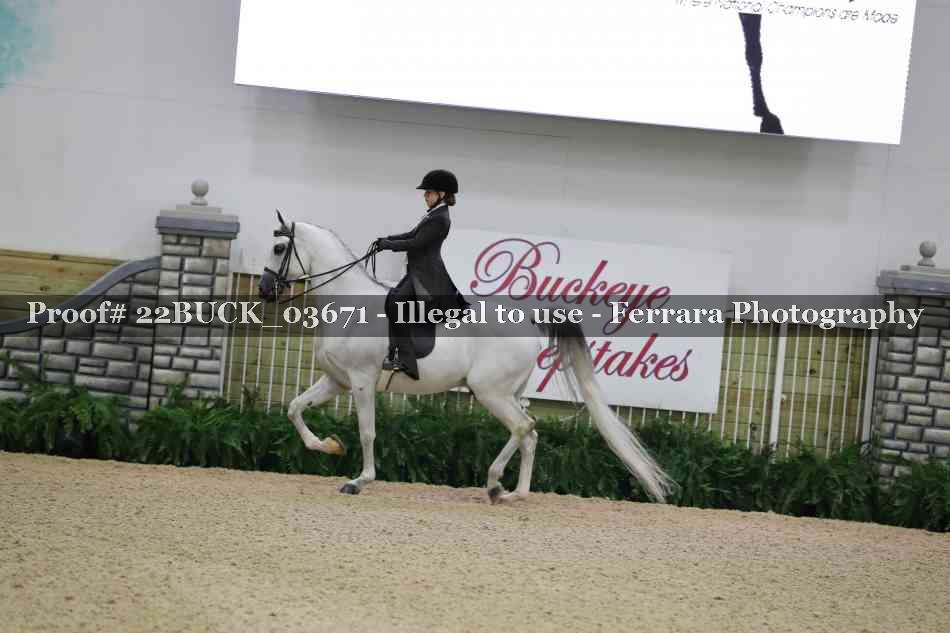 Proof 22BUCK_03671