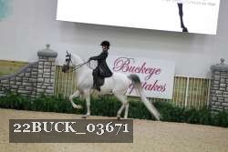 22BUCK_03671 proof