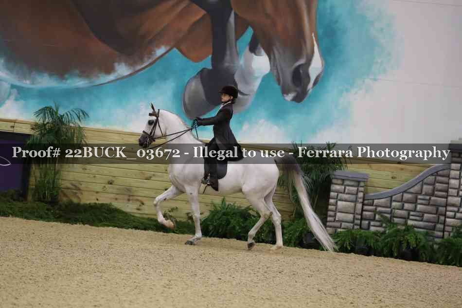 Proof 22BUCK_03672