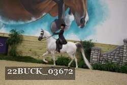 22BUCK_03672 proof