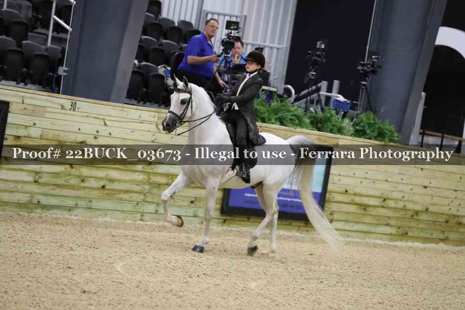 Proof 22BUCK_03673