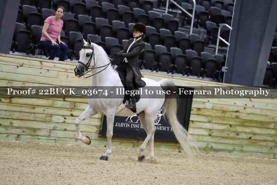 Proof 22BUCK_03674