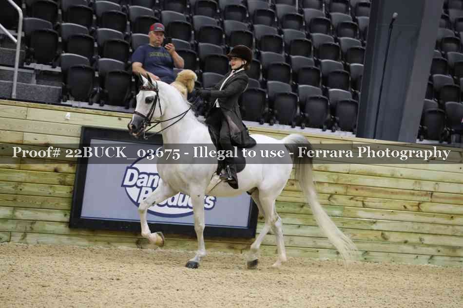 Proof 22BUCK_03675