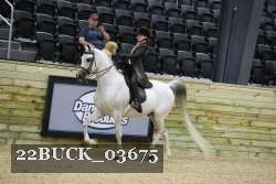 22BUCK_03675 proof