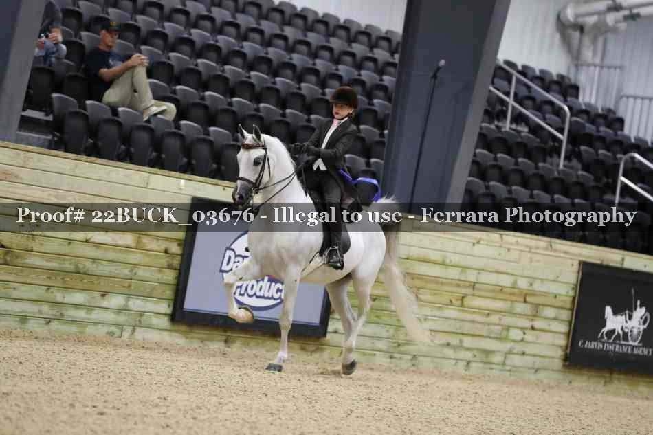 Proof 22BUCK_03676
