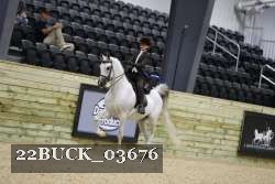 22BUCK_03676 proof