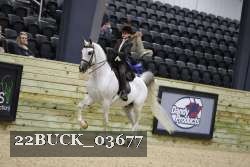 22BUCK_03677 proof