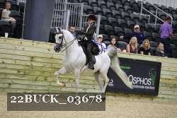 22BUCK_03678 proof