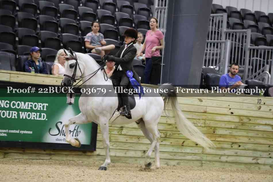 Proof 22BUCK_03679