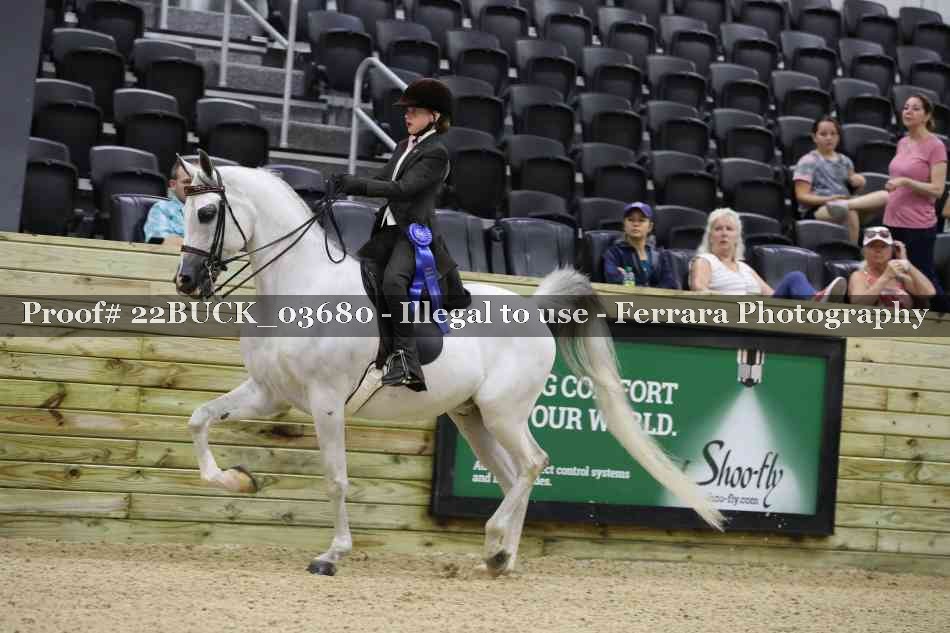 Proof 22BUCK_03680