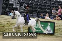 22BUCK_03680 proof