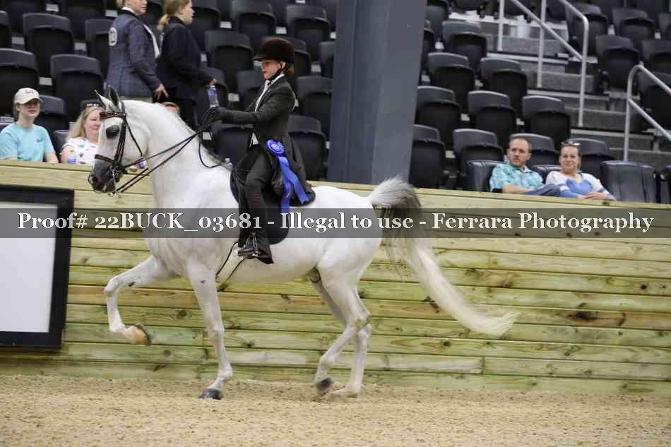 Proof 22BUCK_03681