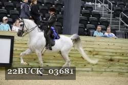 22BUCK_03681 proof