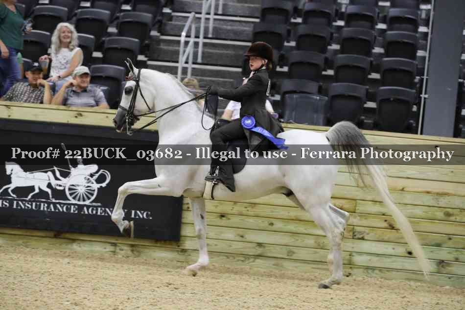 Proof 22BUCK_03682