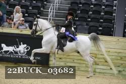 22BUCK_03682 proof