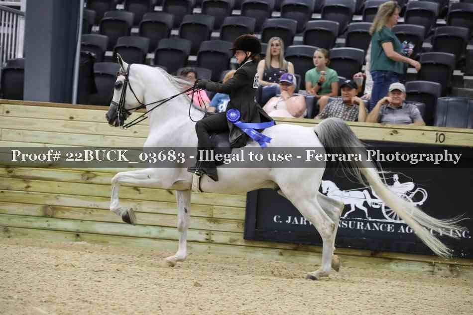 Proof 22BUCK_03683