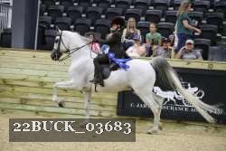 22BUCK_03683 proof