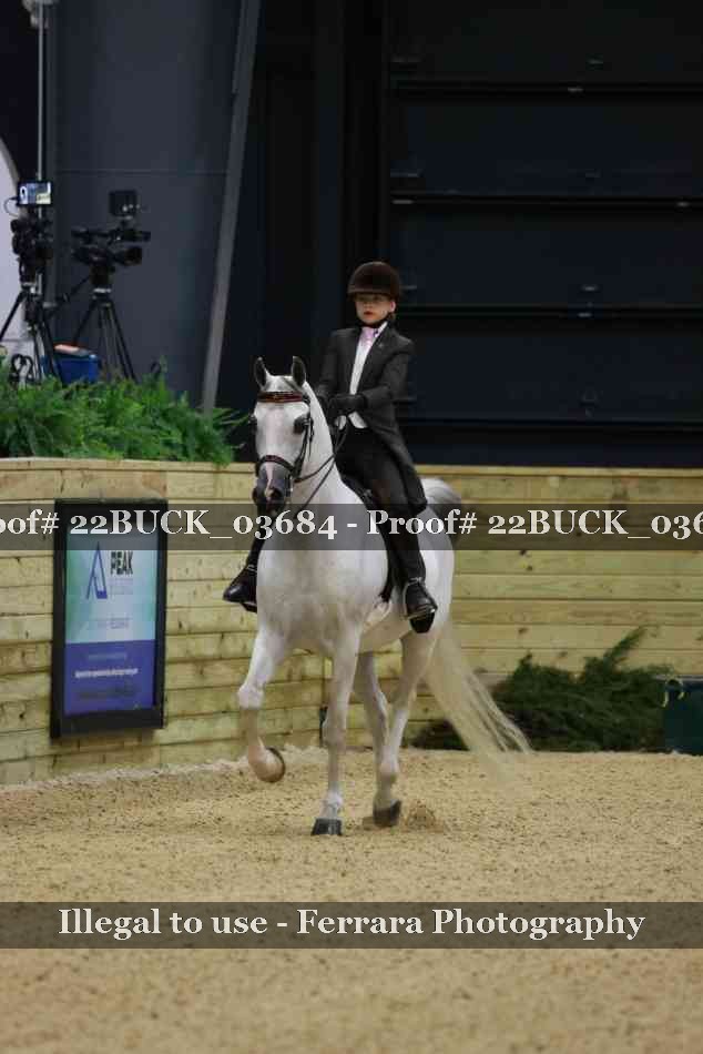 Proof 22BUCK_03684