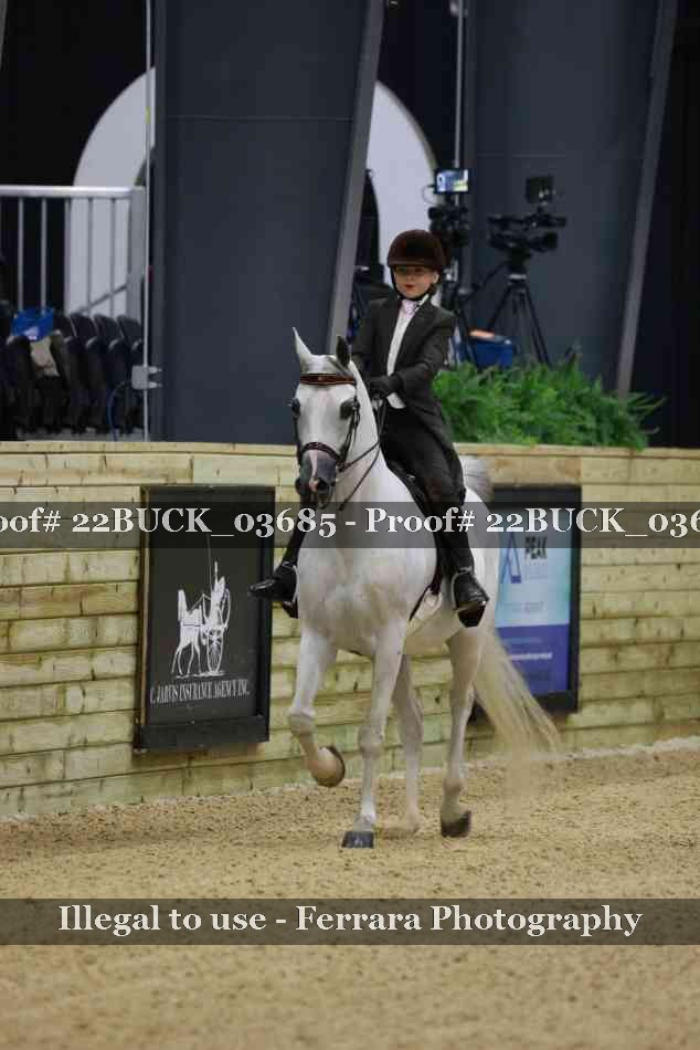 Proof 22BUCK_03685