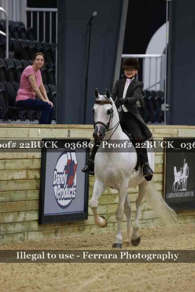 Proof 22BUCK_03686