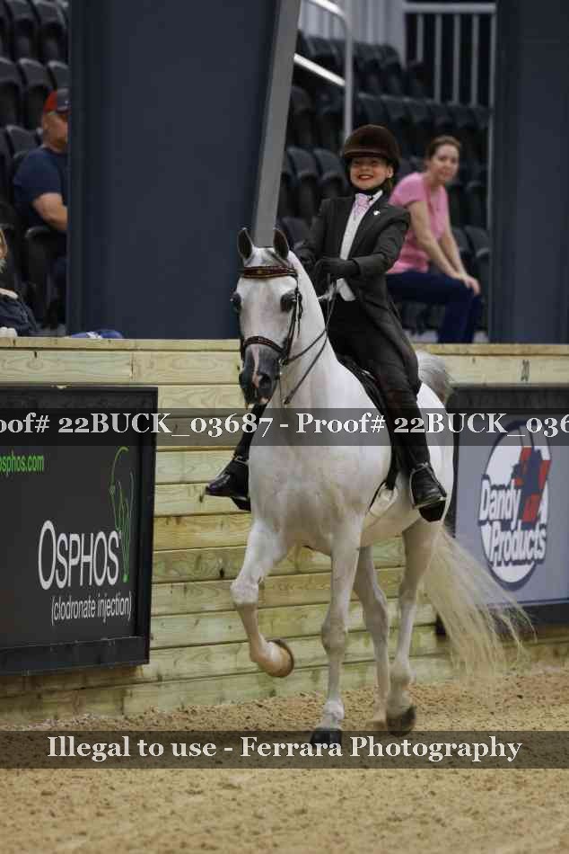 Proof 22BUCK_03687