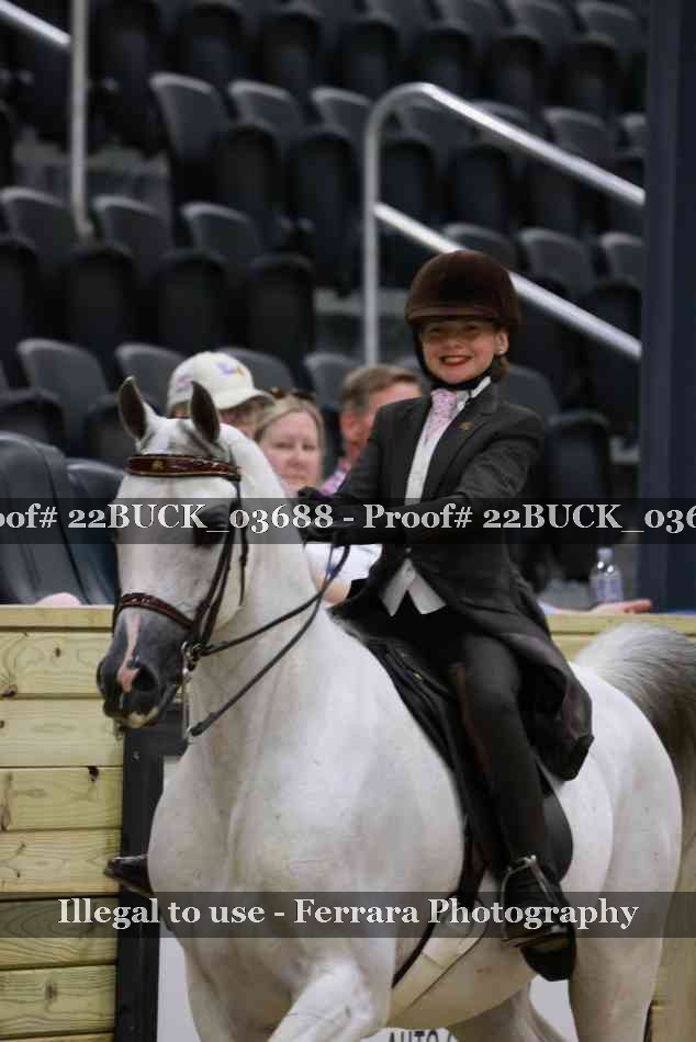 Proof 22BUCK_03688
