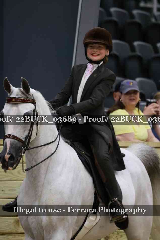 Proof 22BUCK_03689