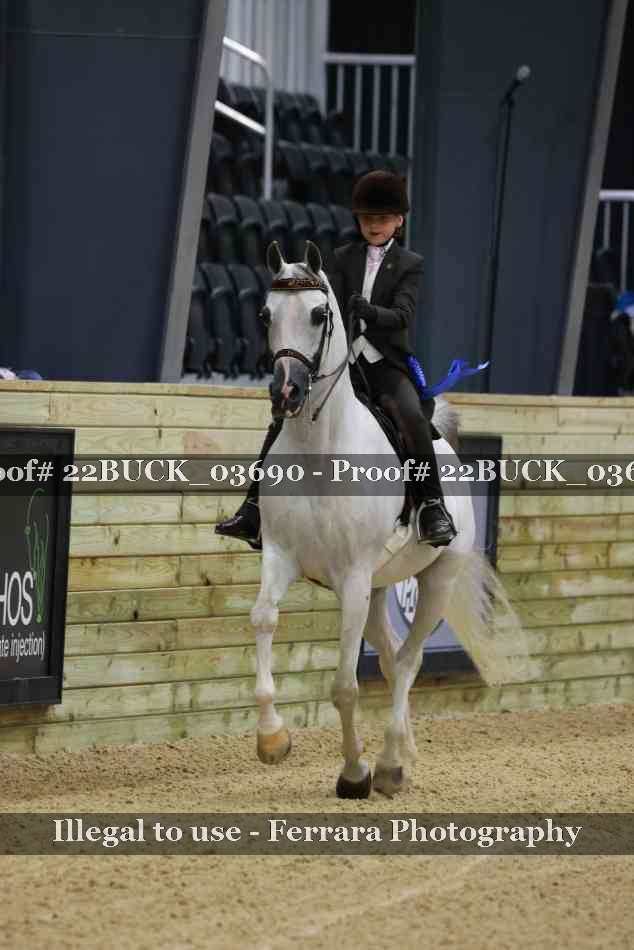 Proof 22BUCK_03690