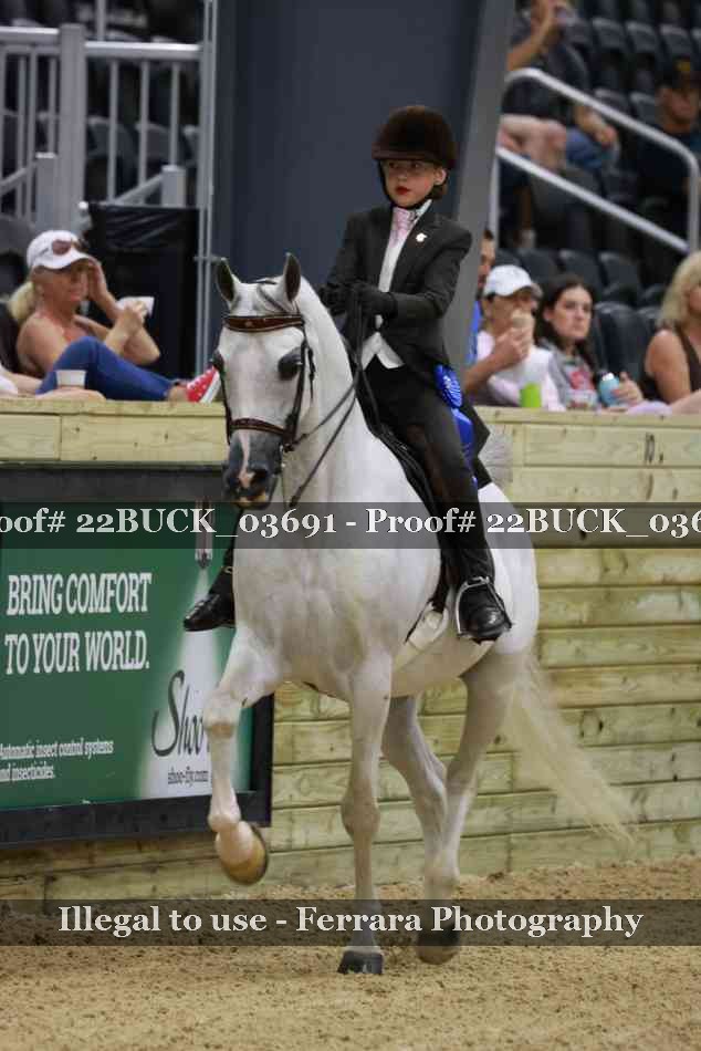 Proof 22BUCK_03691