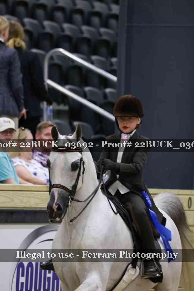 Proof 22BUCK_03692