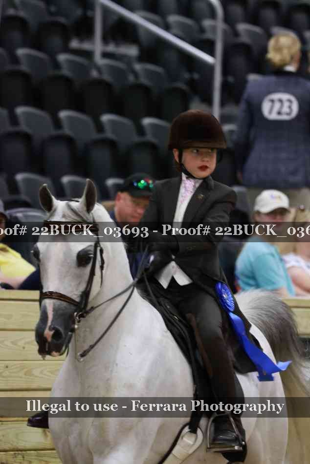 Proof 22BUCK_03693