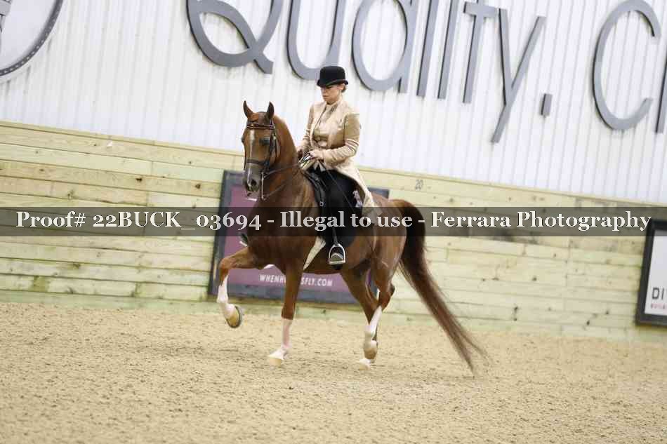 Proof 22BUCK_03694