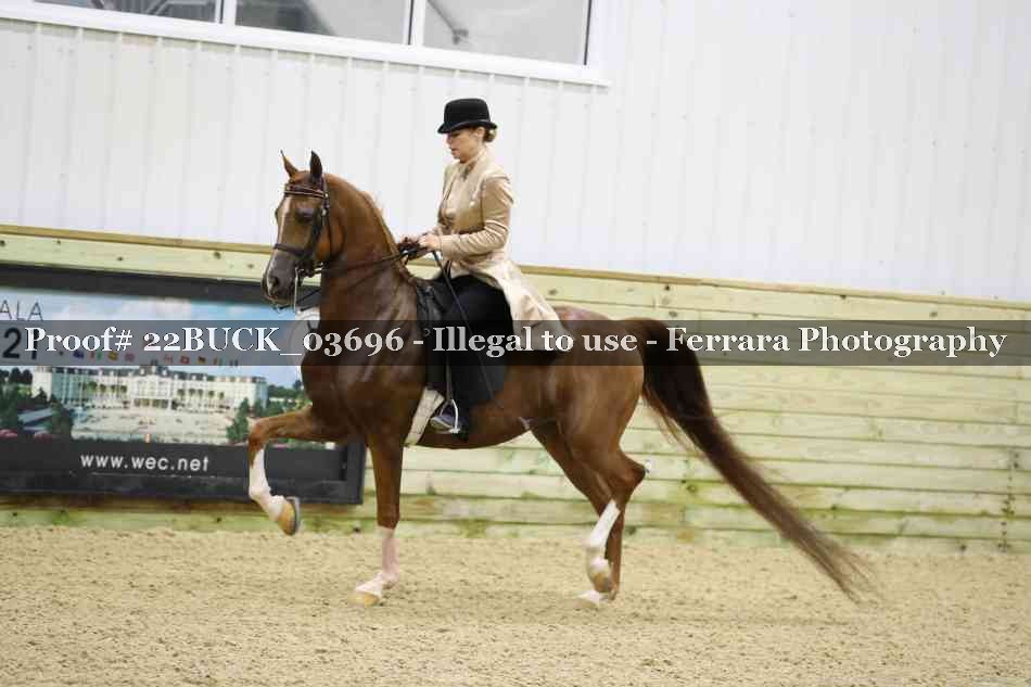 Proof 22BUCK_03696
