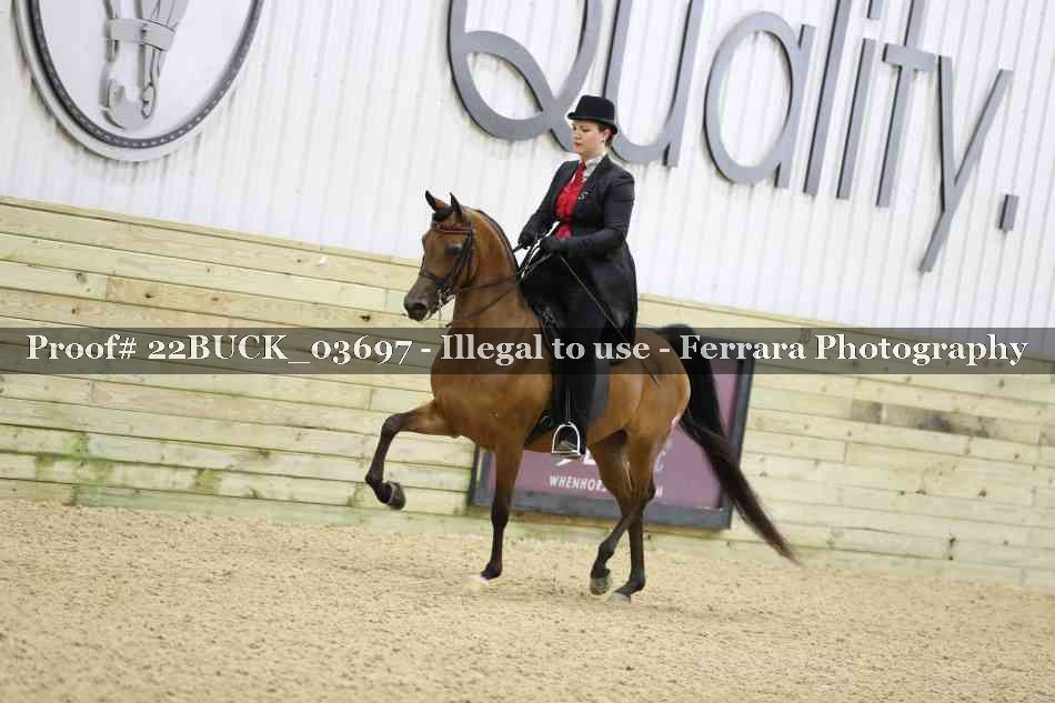 Proof 22BUCK_03697