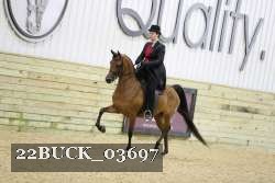22BUCK_03697 proof