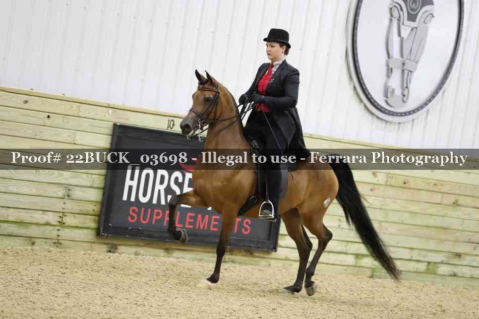 Proof 22BUCK_03698
