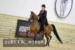 22BUCK_03698 proof