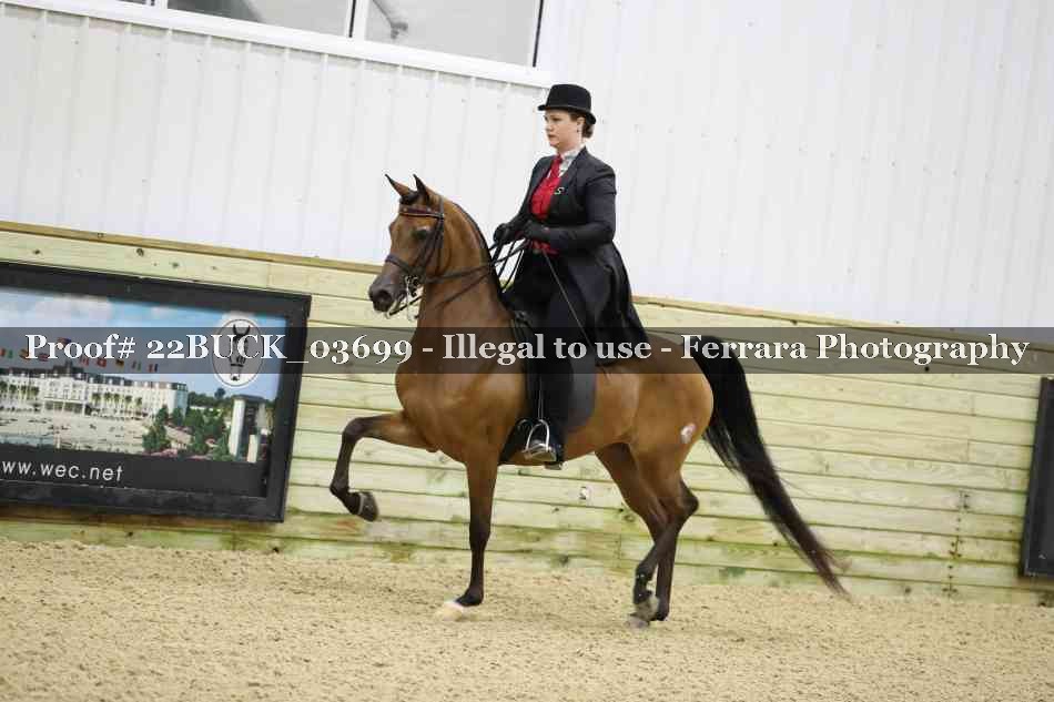Proof 22BUCK_03699