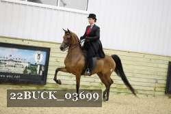 22BUCK_03699 proof