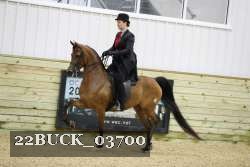 22BUCK_03700 proof