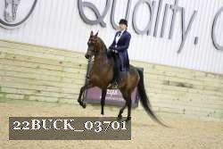 22BUCK_03701 proof
