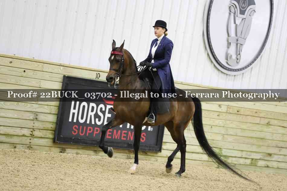 Proof 22BUCK_03702