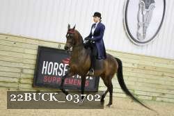 22BUCK_03702 proof