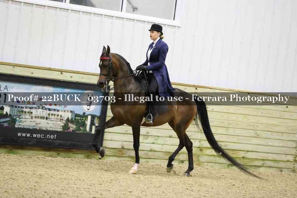 Proof 22BUCK_03703