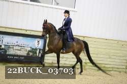 22BUCK_03703 proof