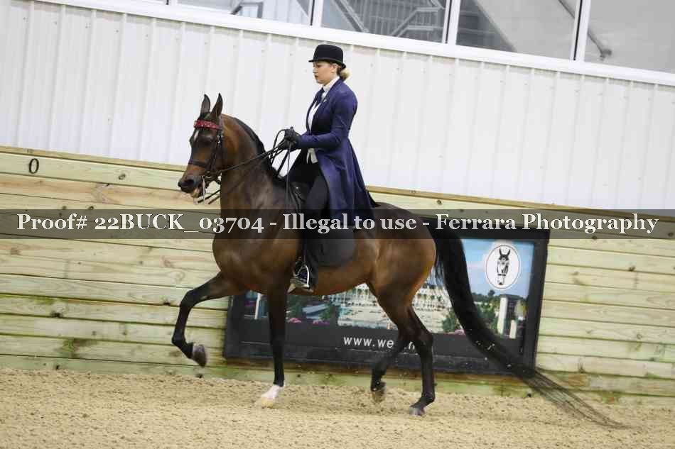 Proof 22BUCK_03704
