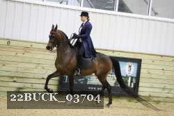 22BUCK_03704 proof